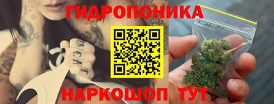 бошки Гай